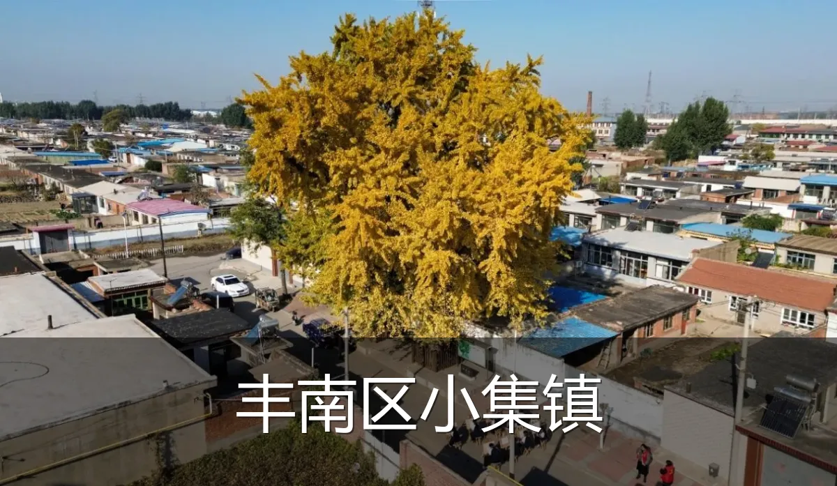 丰南区小集镇