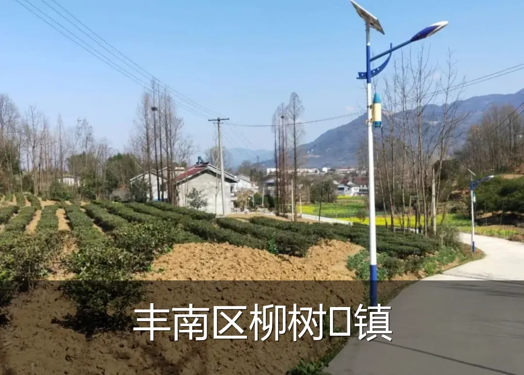 丰南区柳树镇